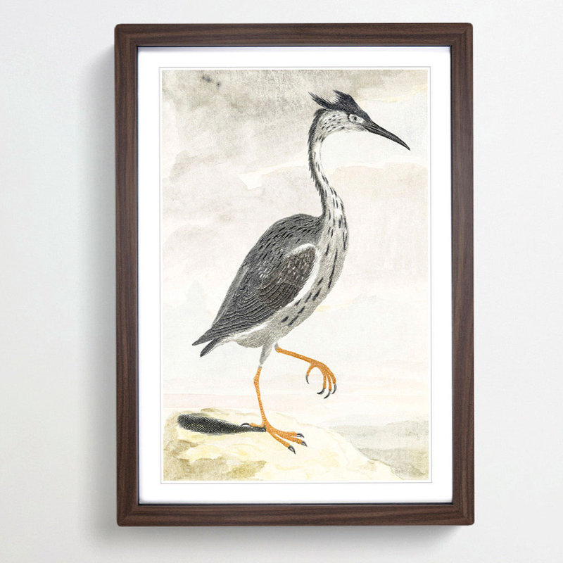 Heron by Johan Teyler - Picture Frame Painting Print, Walnut Framed, 65cm H x 48cm W x 2cm D