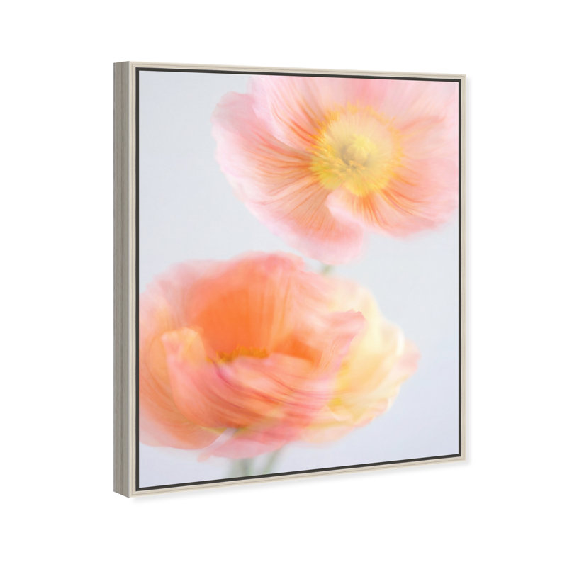 Hazy Camelias Floral & Botanical Canvas Print by Oliver Gal, Black Frame, 16 x 20, 17"H x 21"W, Silver Floater Frame