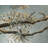Falling Branch Credenza