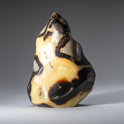 Polished Septarian Flame Freeform from Madagascar (2 Lbs)