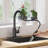 Pull Down Single Handle Kitchen Faucet with Accessories-67228732