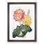 Egyptian Water Lilies by R.J. Thornton - Picture Frame Painting Print-55539688-55539689