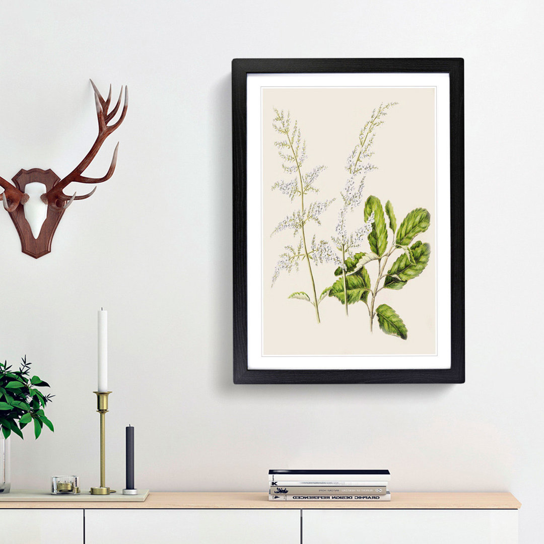 Lilac Flowers by Sarah Featon - Framed Print