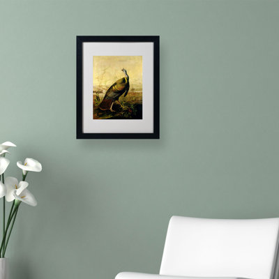 by James Audubon Print