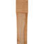 Attelle de genou Westlake-29310046-31230159-31230611