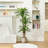 Adcock Artificial Dracaena Tree in Pot-1798418966