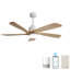 Ventilateur de plafond 52 po avec lumières DEL Damecia-1836628952