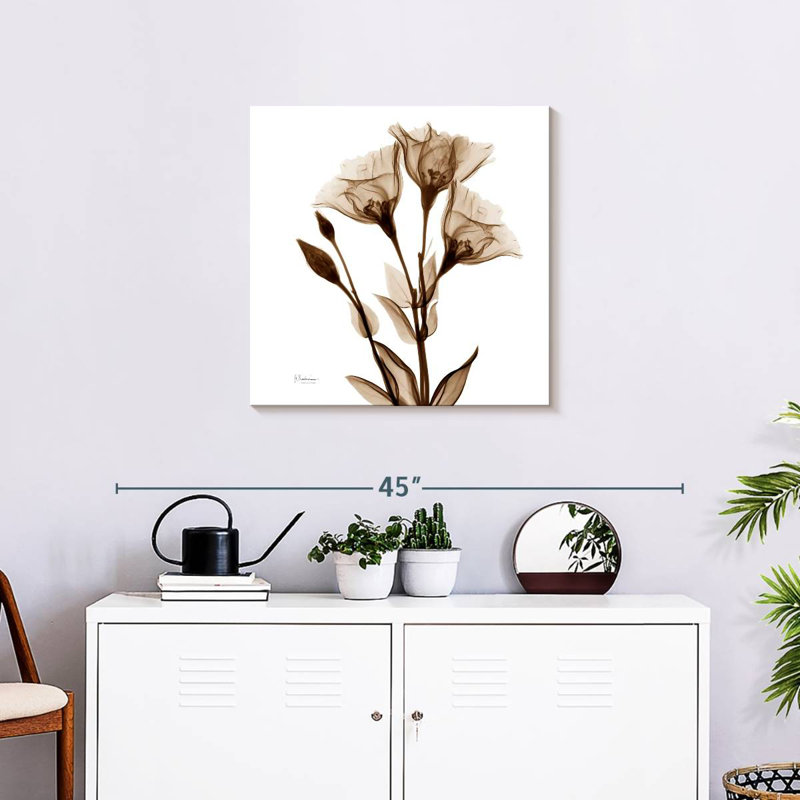 Harnek Gentian In Sienna, H 24 po x l 24 po