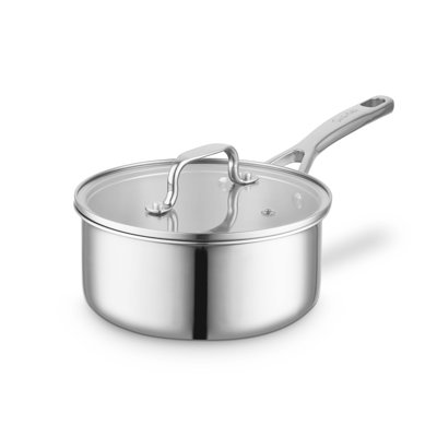 Stainless Steel Saucepan