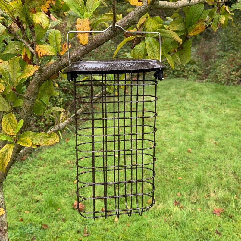 Elsass Suet Bird Feeder