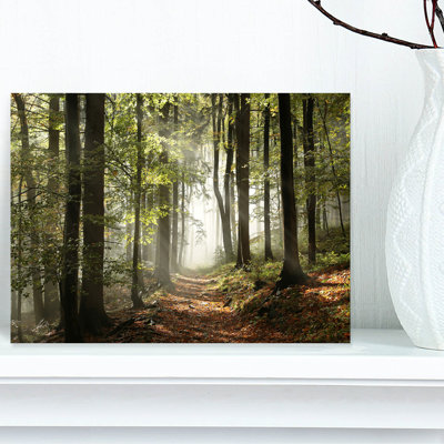Green Fall Forest with Sun Rays - Forest Photograph Print