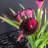 Arrangement de lys dans un vase-326323198