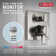 Modern Raincan Square Shower System, Rain Shower Head with Handheld Spray, Shower Faucet Set