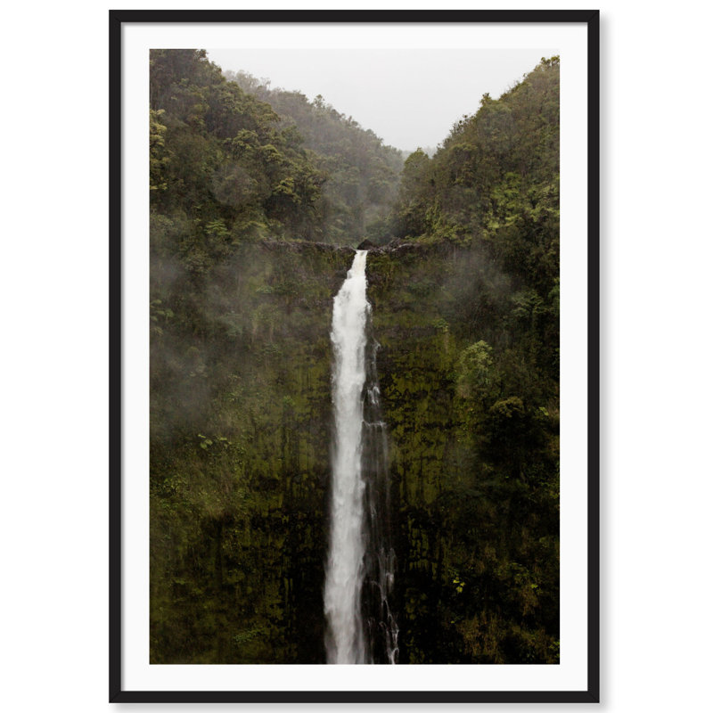 Akaka Falls Print by Carly Tabak, Black Wood, 31" W x 44" H