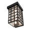 4 - Light Flush Mounted Sconce