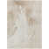 Machine Washable Indoor/Outdoor Jocelyn ACN2133 Swirls Rug