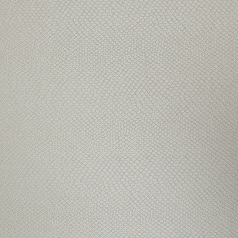 Tissu arietids