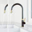 Robinet de cuisine à douchette extractible 2 fonctions H 19 po Bristol-100097142