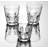 Rosaura 15 oz. Acrylic Whiskey Glass Set-23814901