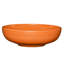 Fiesta Bistro Coupe Bowl-14615570-123407569