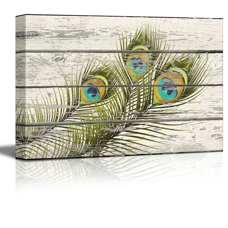 Illustration de plumes de paon colorées, art de maison rustique, H 16 po x l 24 po