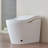 Modern Smart Toilet With Bidet, Auto Flush, Auto Open/Close,Heated Seat, Warm Water And Dry, Foam Shield Function White