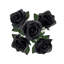 Rosier artificiel ouvert-577452960
