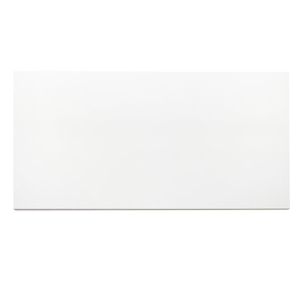 Brighten 12" x 24" Polished Porcelain Wall & Floor Tile