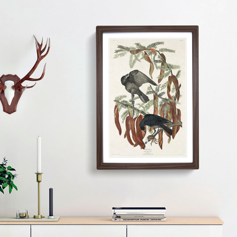 Fish Crows by John James Audubon - Picture Frame Art Print, 65cm H x 48cm W x 2cm D, Walnut Framed