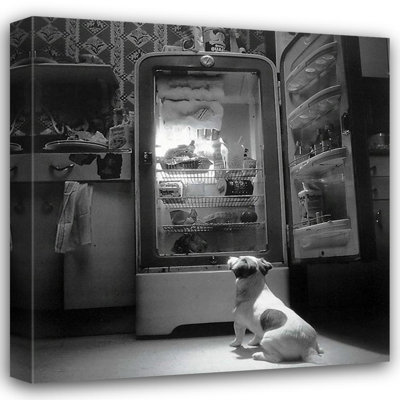 Chien télé