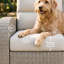 Outdoor Lounge Chair