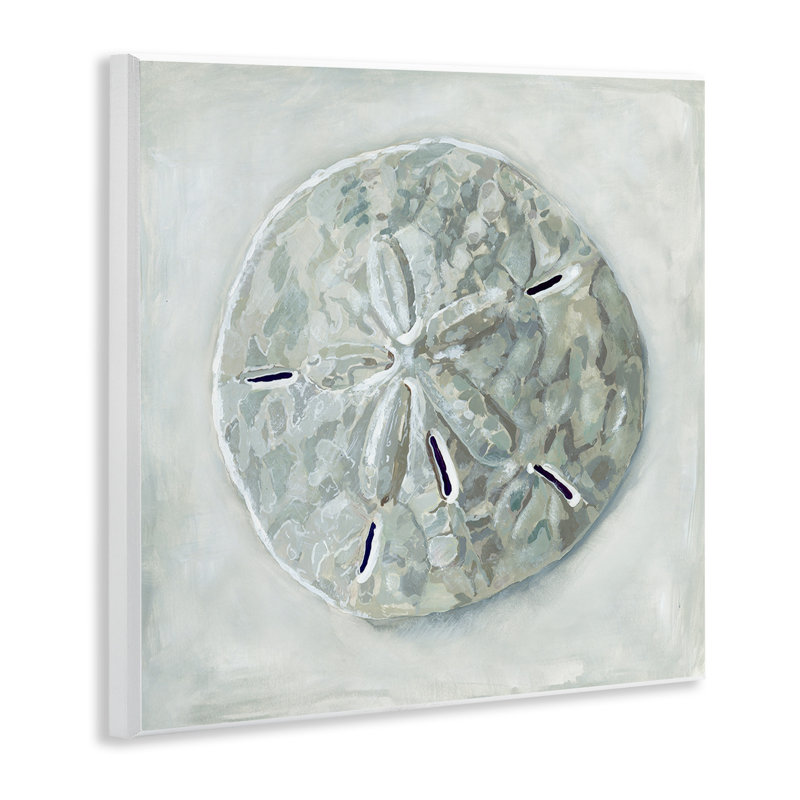 «Sand Dollar» coquillage par Erica Christopher