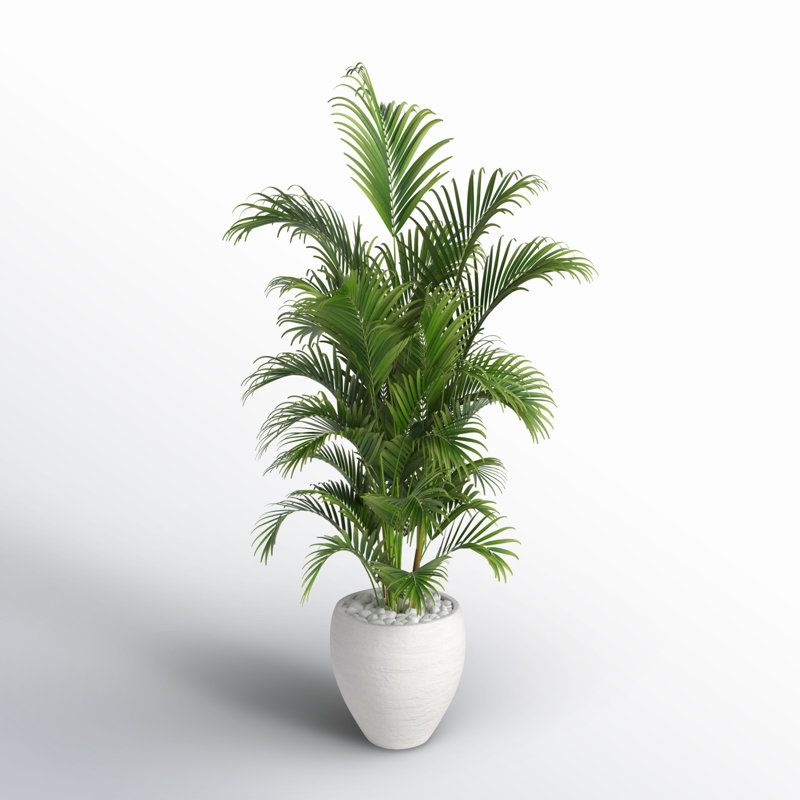 Faux Palm Tree in Ceramic Planter, 60" H x 31" W x 25" D, White