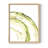 Lichen Halo VI Framed Print - Solid Wood-1614862660