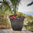  Ariana 13.75 in. H X 17.75 in. W X 16 in. D Plastic Traditional Planter Peppercorn-1921265537-1921265551