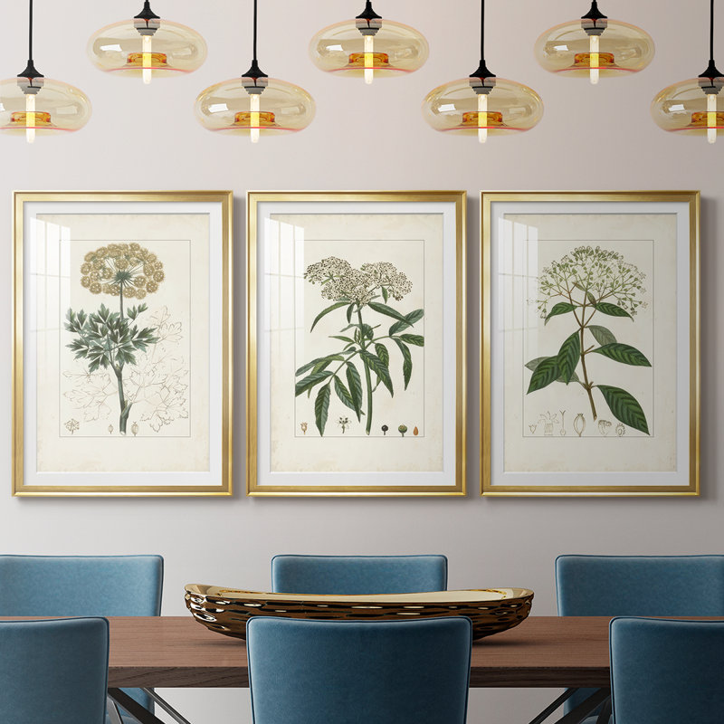 Antique Turpin Botanical VII - reproduction sur mesure encadrée de qualité supérieure - 3 pièces