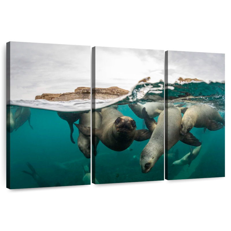 Brampt Swimming Sea Lions, 42" H x 65" W