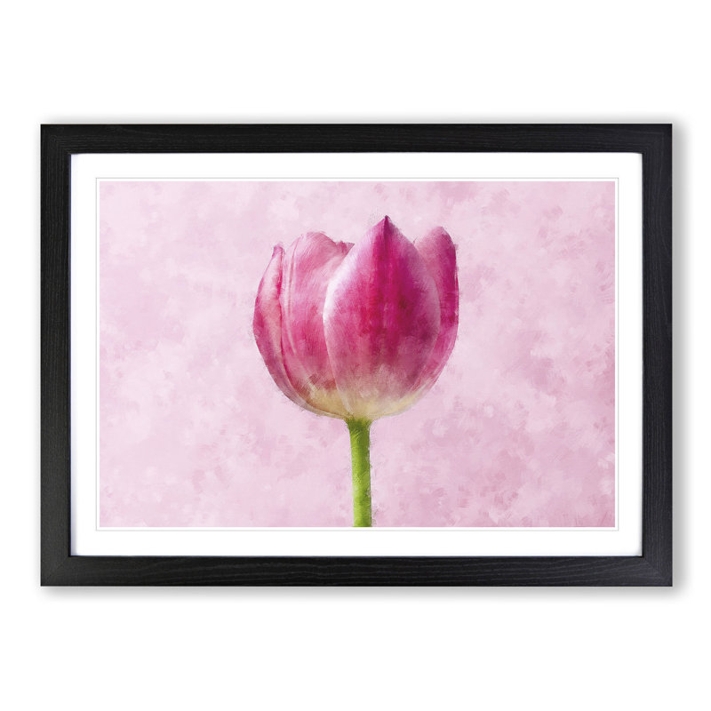 Perfectly Pink Tulip Flower - Single Picture Frame Print on MDF, 45cm H x 63cm W x 2cm D, Black