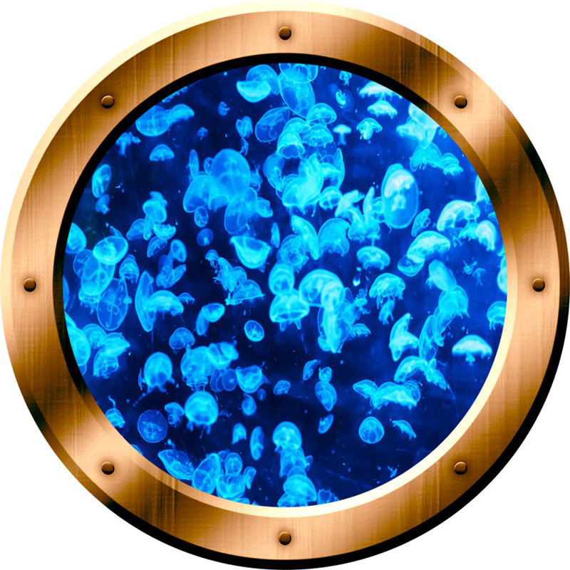 Décalcomanie murale 3d jellyfish hublot, H 20 po x l 20 po x P 0,01 po, Bronze