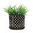 Ceramic Stoneware Saucer Planters with Drainage Hole - Set of 2-971444427