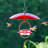 Dieball Hanging Hummingbird Feeder-1442546877