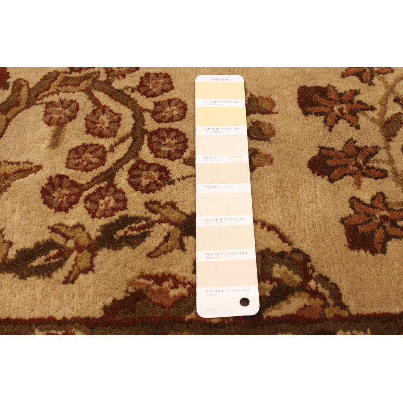 Tapis kaki clair Timeless 8 pi 0 po x 11 pi 3 po