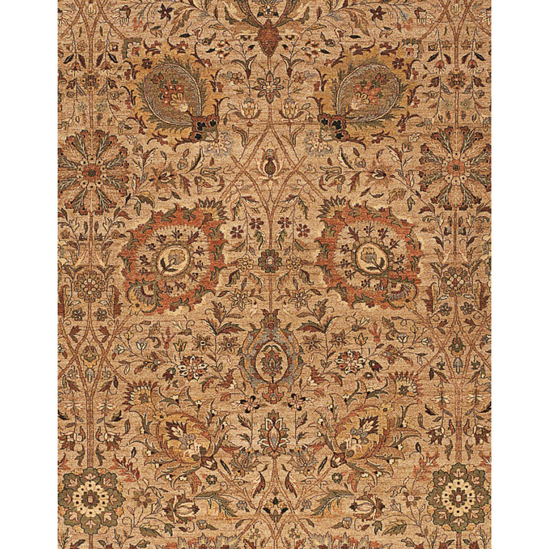 Wool Oriental Area Rug in Gold