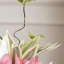 Ornements de fleurs simulées