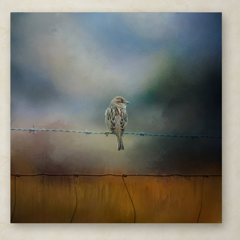 «Fence Master», impression sur toile tendue Vidur, H 14 po x l 14 po