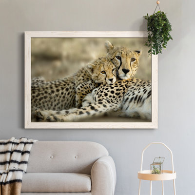 " Kenya Cub "