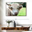 Glasgow Highland Cow-256334881-256334887