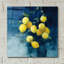 «Lemon Grove» par Julia Purinton, art mural en verre 2 po-1649891631
