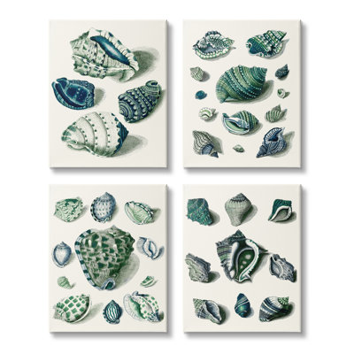 Collage bleu vert de style spirale nautique A4-017 par vision studio-ensemble de 4 impressions