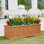 Boîte à fleurs rectangulaire en cèdre massif avec trous de drainage Barros